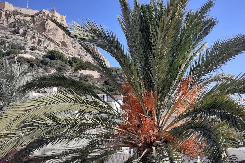 דירות אליקאנטה La Casita Azul מראה חיצוני תמונה