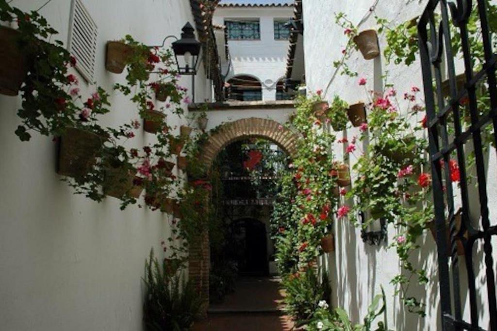 דירות אליקאנטה La Casita Azul מראה חיצוני תמונה
